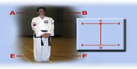Hwa-Rang Tull - Taekwondo pattern for red belts Hwa-Rang Tull - Taekwondo pattern for red belts