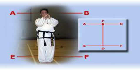 Won-Hyo Tull - Taekwondo pattern for green belts Won-Hyo Tull - Taekwondo pattern for green belts